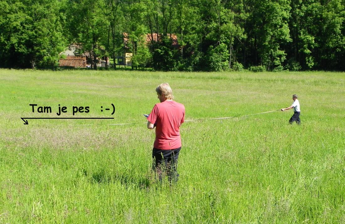6.6.10_085.jpg