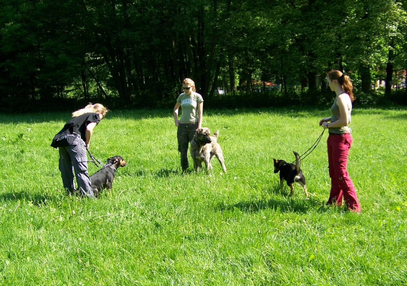 25.5.08_090.jpg
