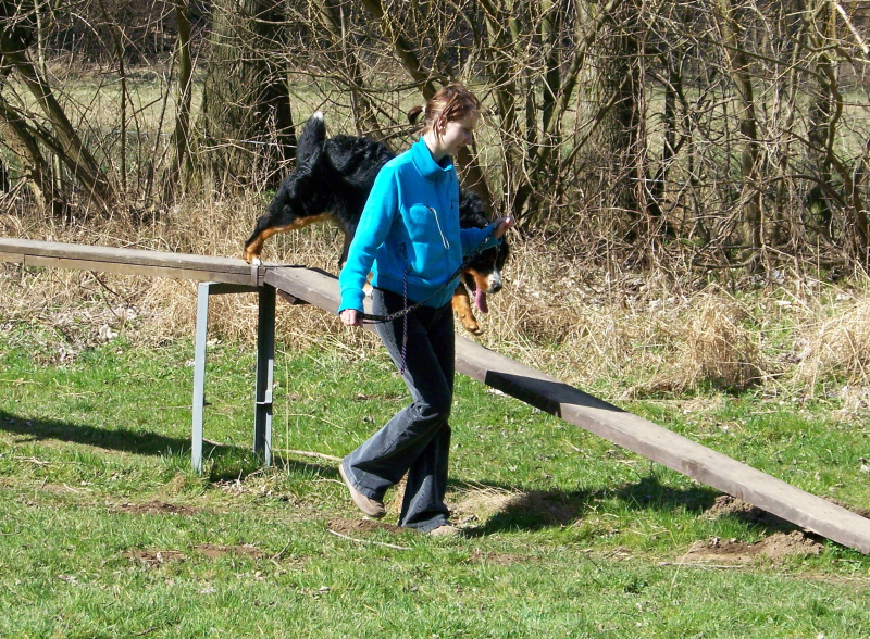 30.3.08 026.jpg