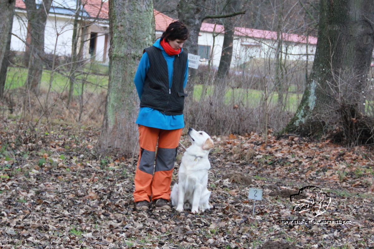 2011 prosinec 29.  110