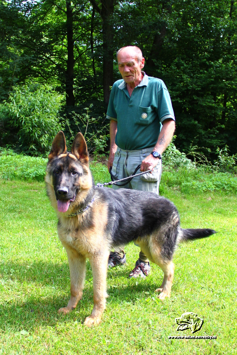 2013 červen 16, 156