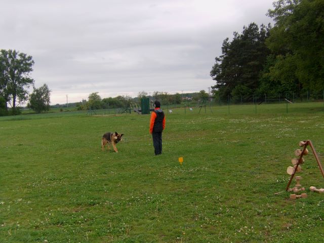 IMAG0700 (640x480)