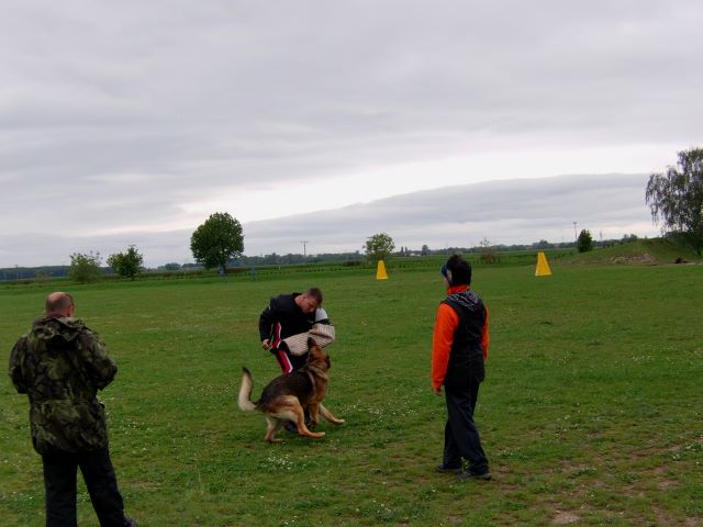 IMAG0715 (640x480)