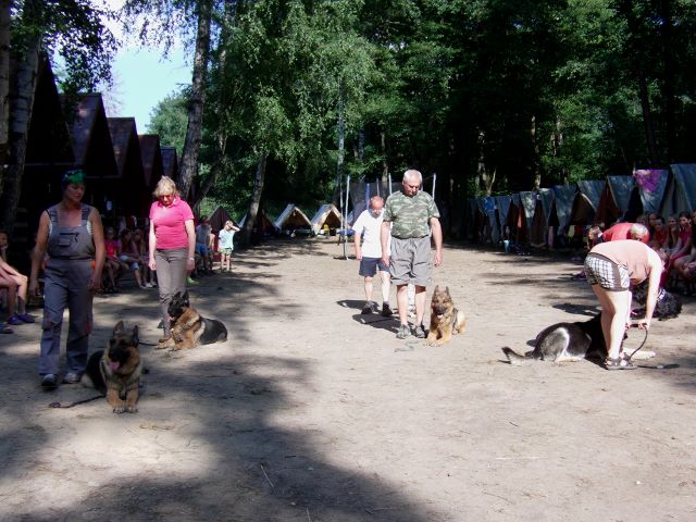 IMAG0734 (640x480) (2)