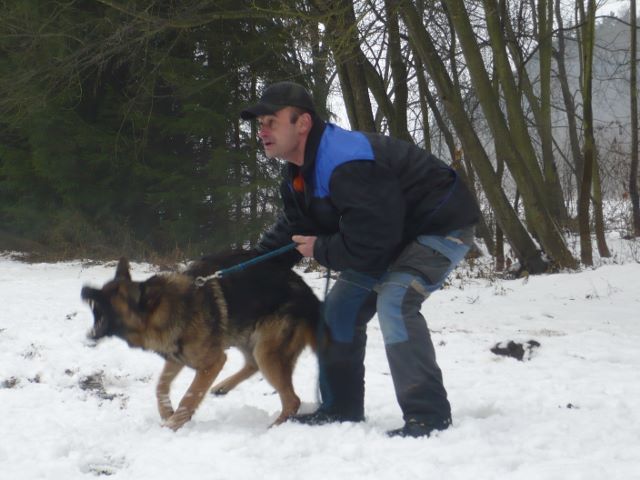 P1010394 (640x480)