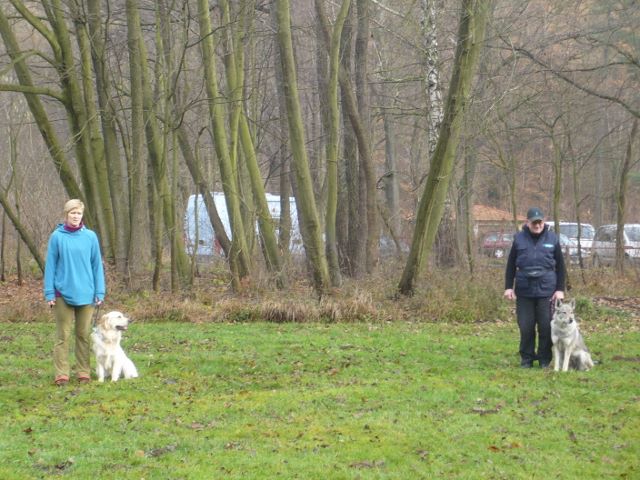 P1010367 (640x480)