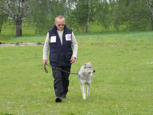 P5170342[1] (640x480)