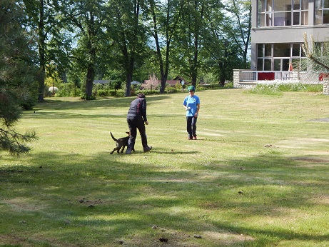 psi 2017 082