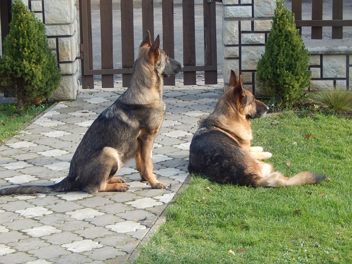 DSCN9142