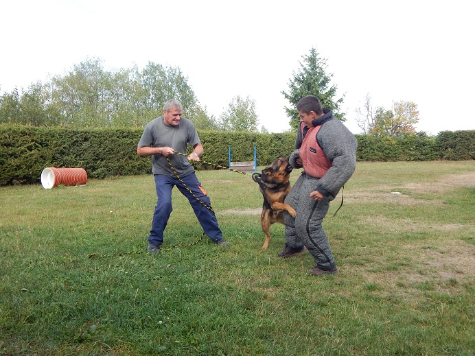 DSCN2204