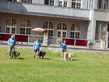 leče (1)