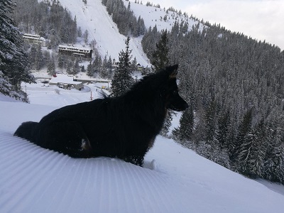 IMG-20201031-WA0006