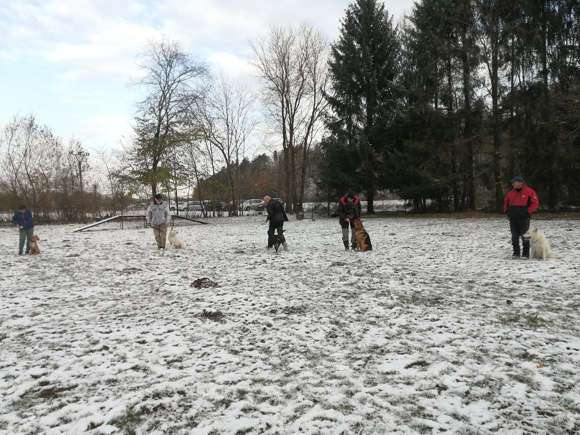 IMG_20231126_091913