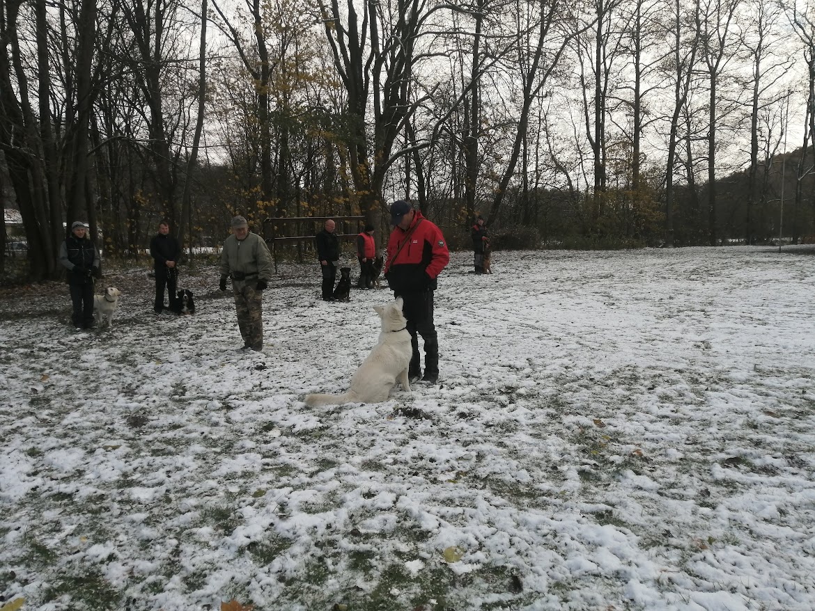 IMG_20231126_093133
