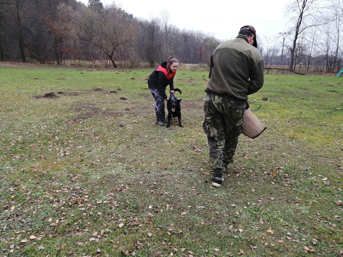 IMG_20211121_105258_1
