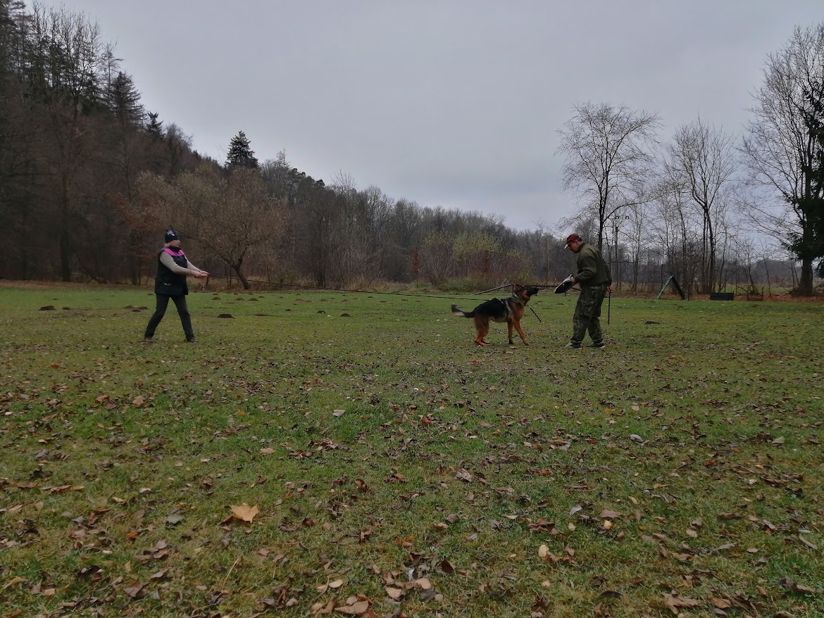 IMG_20211121_105559