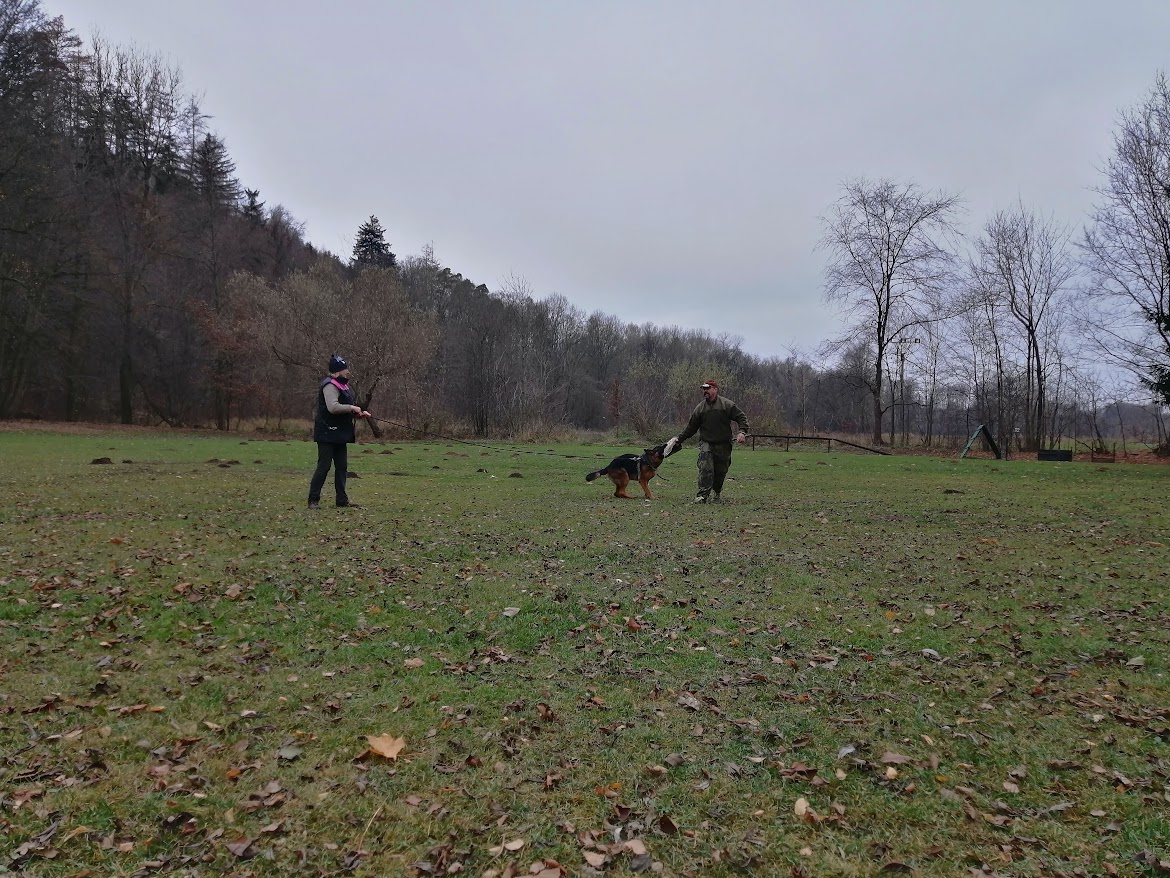 IMG_20211121_105624