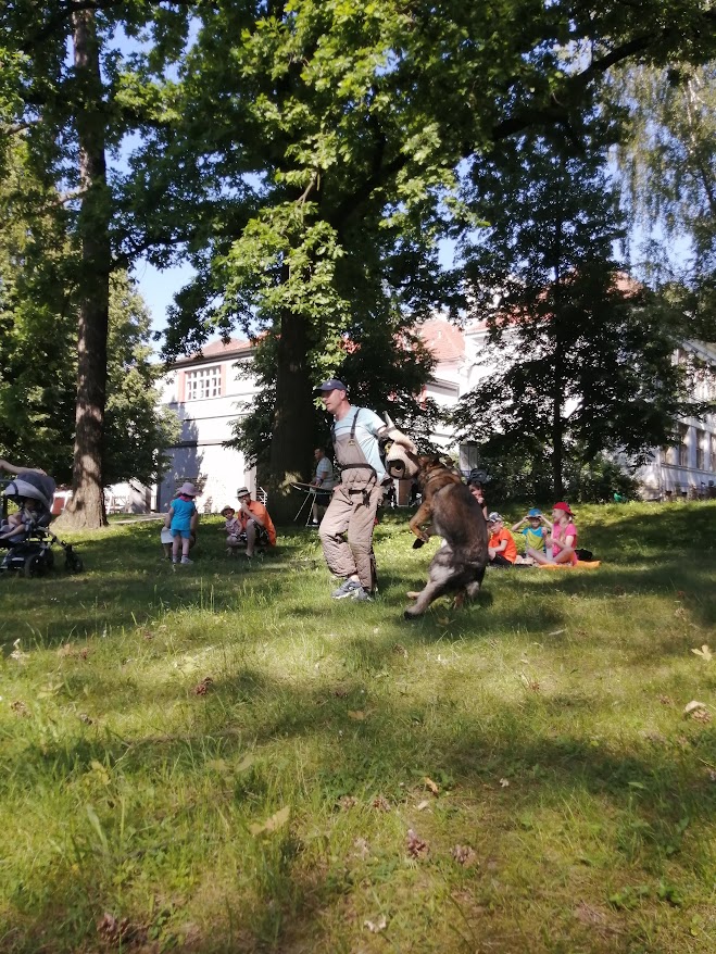 IMG_20210618_162143
