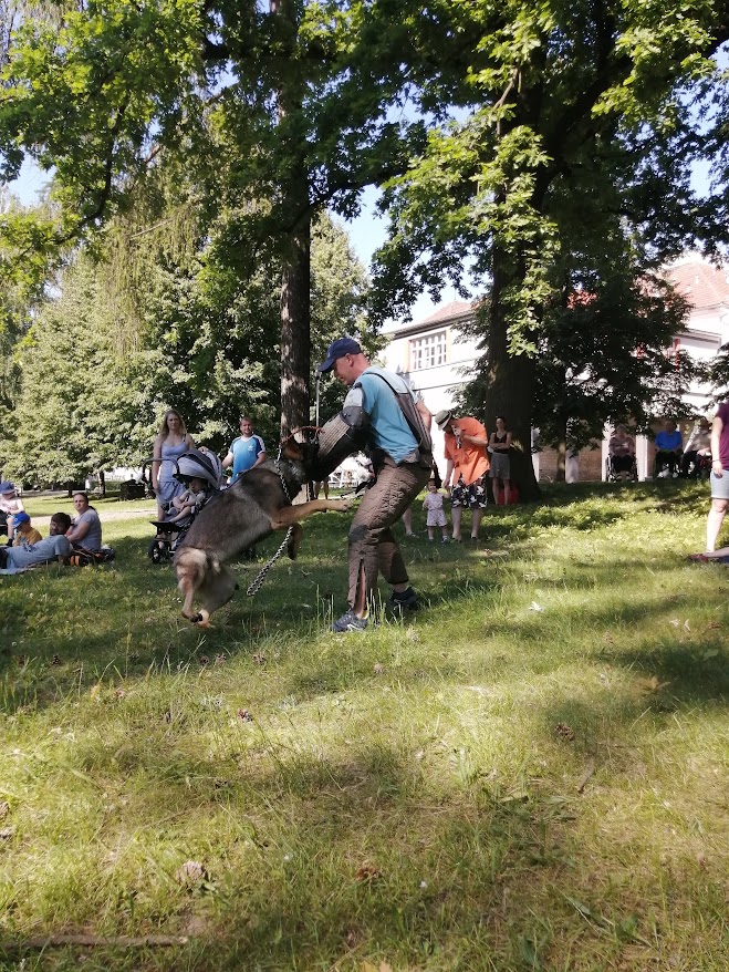 IMG_20210618_162329